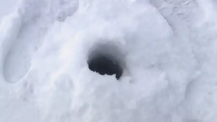 Чтобы рыба пережила зиму: на водоёмах Карагандинской области проводят противозаморные работы (4)