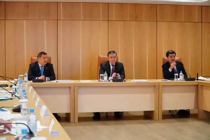 Создание экопарков в столице и пристоличном регионе обсудили в Астане (6)