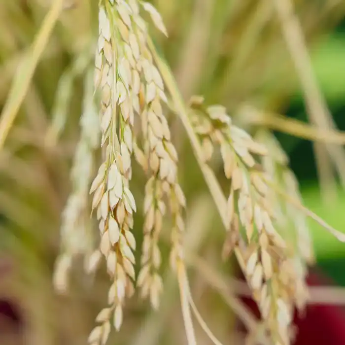 ЭКОНОМИЯ ВОДЫ – ВОПРОС НАЦИОНАЛЬНОЙ БЕЗОПАСНОСТИ: РЕАЛИЗАЦИЯ ПОРУЧЕНИЙ ПРЕЗИДЕНТА В РЕГИОНЕ ПРИНОСЯТ КОНКРЕТНЫЕ РЕЗУЛЬТАТЫ (4)