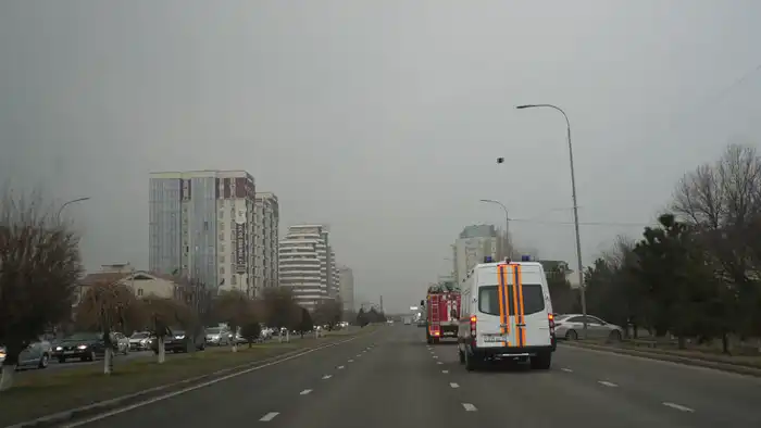 Водители реагируют на спецтранспорт: социальный эксперимент выявил важность уступки дороги {city2}