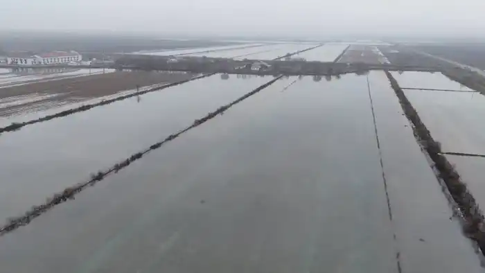 Промывка почвы на 100 тыс. га орошаемых земель в Туркестанской области: работы стартовали в Жетысайском и Мактааральском районах {city2}