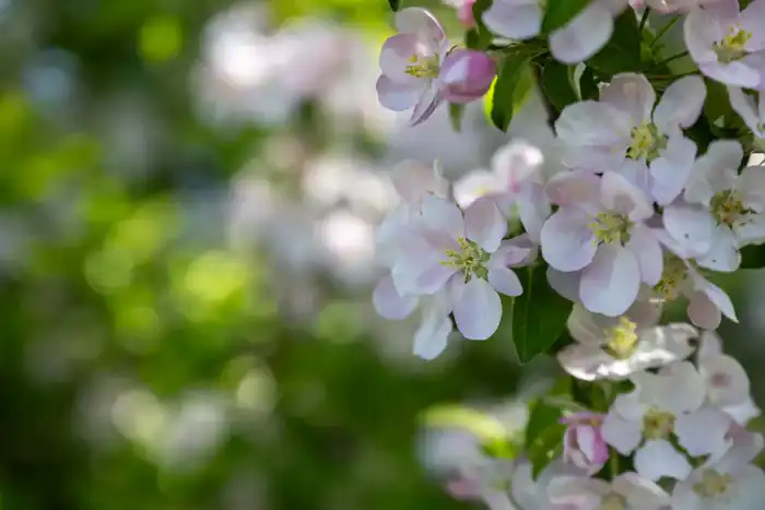 Рост туристов в национальных парках Жетісу {city2}