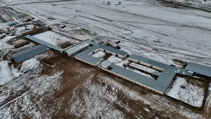 Молочная мечта: в Алматинской области вырастет ферма на 1200 голов {city2}