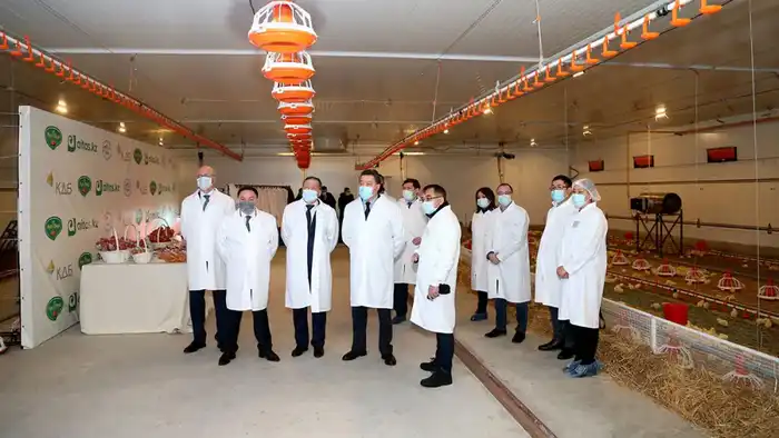 Макинская птицефабрика: надежность, высокое качество и развитие производства {city2}