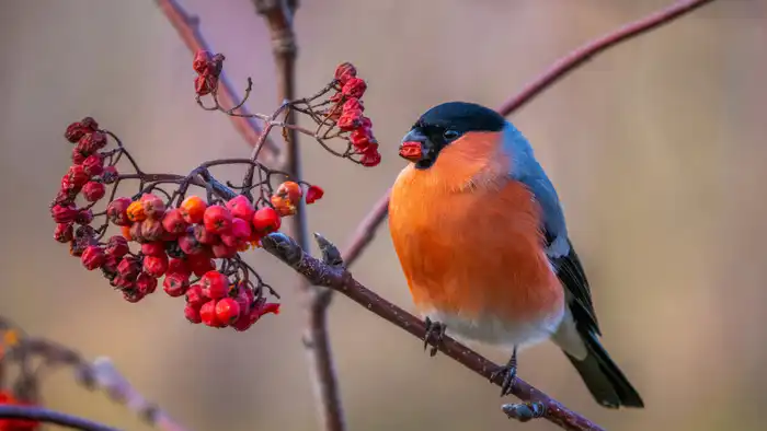 Погода в Казахстане: как морозы и потепление влияют на повседневную жизнь граждан в начале января {city2}