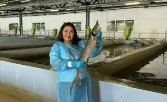 Асылбекова Сауле: ведущий ученый в рыбном хозяйстве Казахстана прокладывает путь к устойчивому будущему аквакультуры