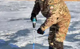 Лёд тронулся: кислород для рыб в зимней сказке