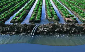 17,8 млн тенге за «водные» нарушения: кто виноват?