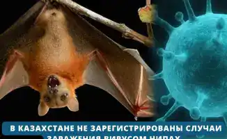 Стабильная эпидемиологическая ситуация в Казахстане: меры контроля на границе усиливаются