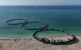 Рост производства рыбной продукции в Казахстане: почти 60 тыс. тонн за 11 месяцев 2025 года