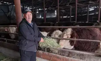 Засеянные мечты: фермерство как путь к устойчивому будущему