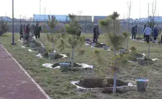 Подготовка к зиме в Туркестанской области: безопасность и комфорт для жителей в условиях непогоды