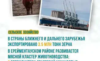 Рост сельскохозяйственного производства в Акмолинской области: влияние на местное сообщество и фермеров