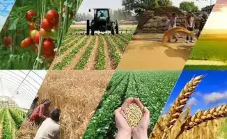 Карантин на повестке: ваше слово решает будущее!