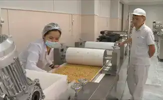 Алматы: Возрождение строительной отрасли в индустриальной зоне с новыми сэндвич-панелями