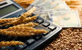 Зерновая гонка: Казахстанское Агентство находит несоответствия в субсидировании перевозок