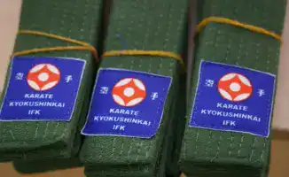 Церемония вручения поясов юным каратистам в столичной школе: шаг к международному развитию спортивных традиций