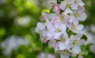 Три фестиваля области Жетісу Казахстана включены в международный событийный календарь Министерства туризма и спорта