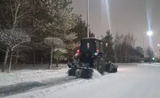Снегопад в Астане: последствия для коммунальных служб и объемы вывезенного снега