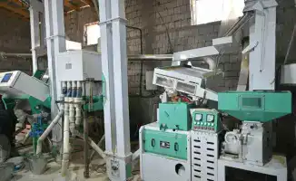 Запуск нового рисоперерабатывающего цеха в Туркестанской области: инвестиции и планы по расширению бизнеса