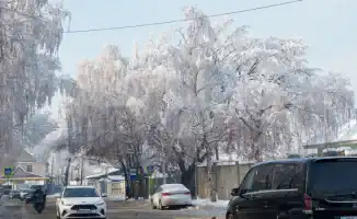 Зимние морозы и снегопады: как погодные условия в Астане и Алматы влияют на повседневную жизнь горожан