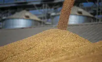Объемы отгрузки зерна ТОО Астык Коймалары увеличились на 25% в 2025 году