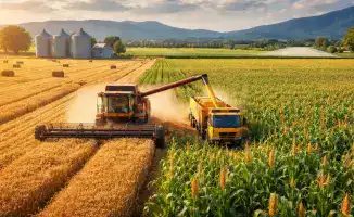 В Алматинской области запустят проект по глубокой переработке кукурузы в рамках тиражирования опыта СКО