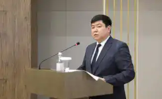 Полмиллиона деревьев: кто станет их защитником?