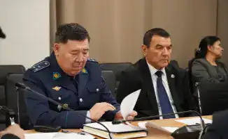 Глобальные тенденции снижения подростковой преступности: опыт Туркестанской области