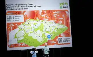 Зоопарк Алматы принимает использованные ёлки