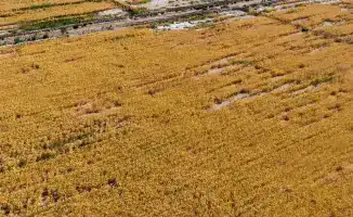 Вода как щит: как эффективное использование ресурсов укрепляет национальную безопасность Туркестанской области