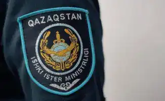 Два брата задержаны за кражу скота с использованием дронов в Туркестанской области