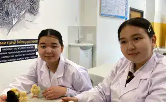 Школьники Астаны: цыплята из инкубатора в реальность!