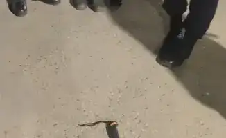 Повышение уровня безопасности в Конаеве: задержание мужчины с холодным оружием