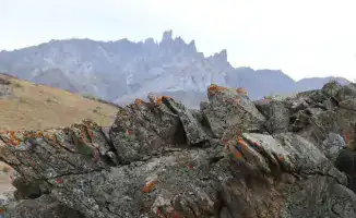 Президент Казахстана подчеркнул важность включения культурного наследия страны в список ЮНЕСКО