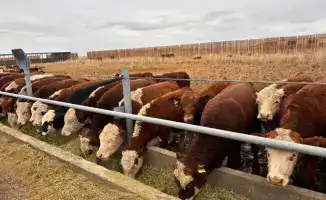 Развитие малого предпринимательства в Аксуатском районе: новые инвестиции и инфраструктурные проекты