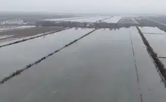 Промывка почвы на 100 тыс. га орошаемых земель в Туркестанской области: работы стартовали в Жетысайском и Мактааральском районах