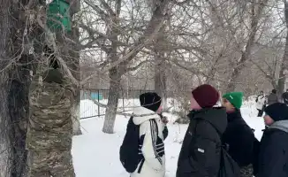 В сердце Абайской земли зазвучала симфония заботы о природе