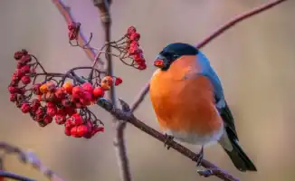 Погода в Казахстане: как морозы и потепление влияют на повседневную жизнь граждан в начале января