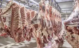Новые правила экспорта говядины: Минсельхоз объясняет причины ограничений в Казахстане
