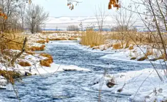 Тепло до +13°C ожидается в Казахстане: синоптики Казгидромета представили прогноз на начало февраля