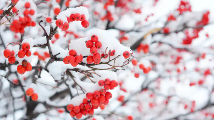 Казахстан в плену зимних метелей: сильные морозы окутывают страну после снегопада {city2}