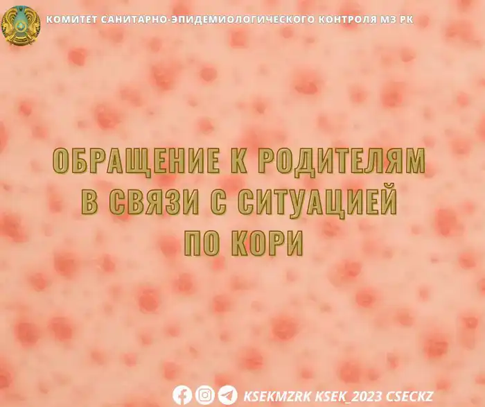 Корь на подходе: как прививки спасают детей? {city2}