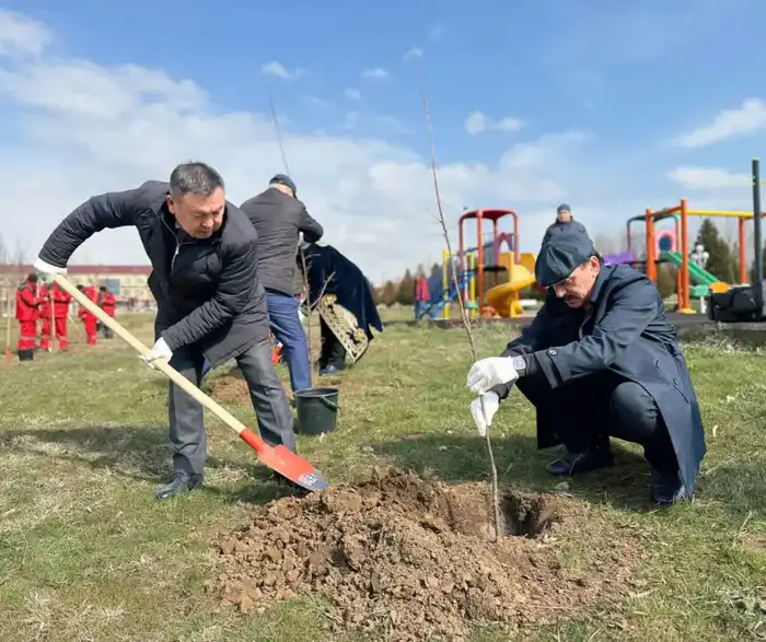 "ТАЗА ҚАЗАҚСТАН": НА СУББОТНИКЕ В ТЮЛЬКУБАСЕ ПРИНЯЛИ УЧАСТИЕ ОКОЛО 500 ЖИТЕЛЕЙ (3)