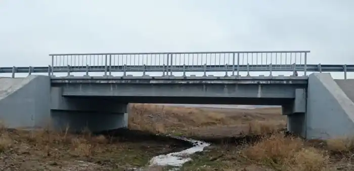 В области Жетісу решается проблема аварийных мостов (3)