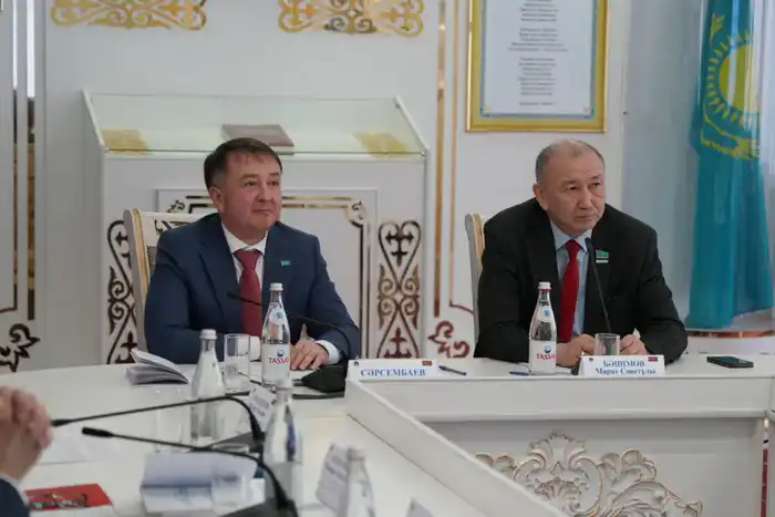 В Астане обсудили новые политические институты в рамках конституционной реформы 2026 года (2)