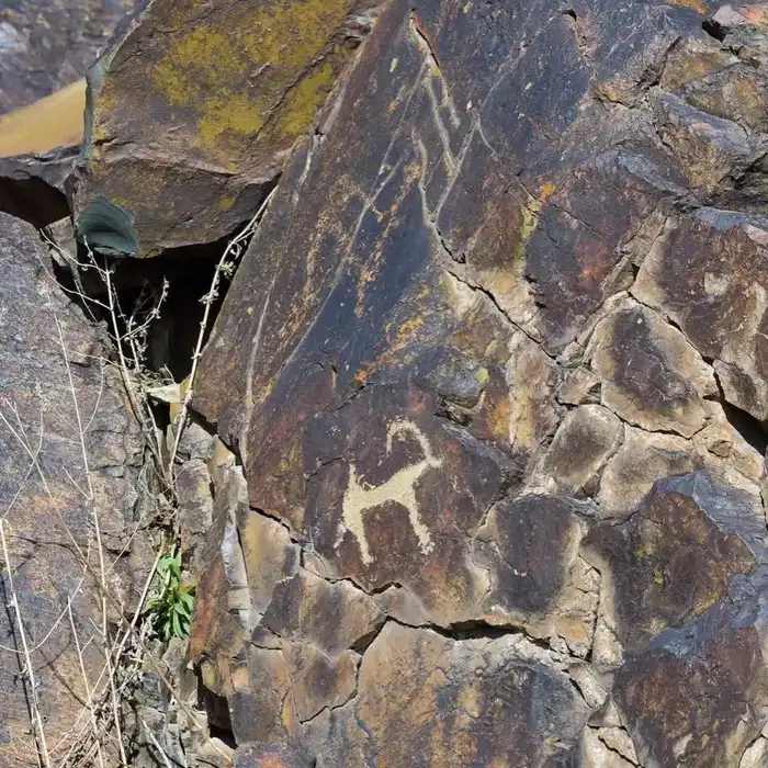 В этом году в области Жетісу создадут три экопарка (3)