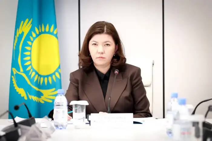 Министр просвещения РК Жулдыз Сулейменова обсуждает статус учителей и инклюзивное образование на приеме граждан {city2}