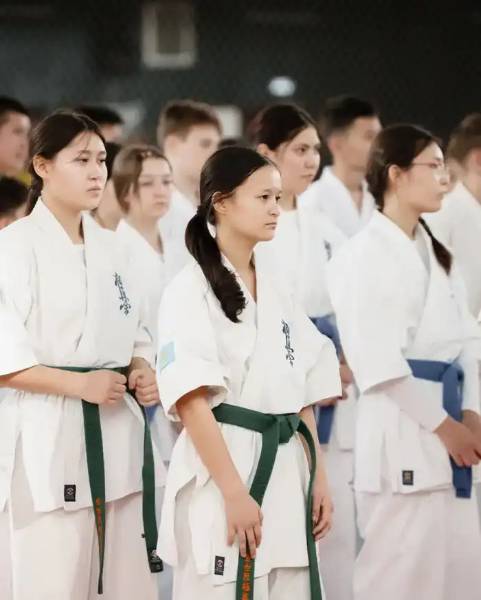 турнир кёкушин будокай каратэ Астана OPEN VI 2024 участие 600 спортсменов Казахстан {city2}