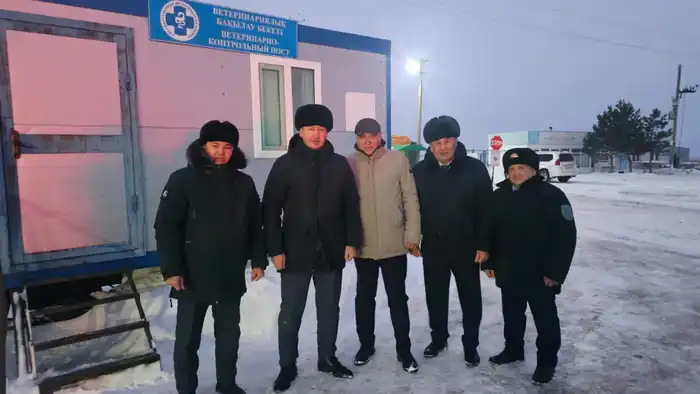 Под контролем: ветеринарный щит Казахстана на страже здоровья животных в Северо-Казахстанской области {city2}